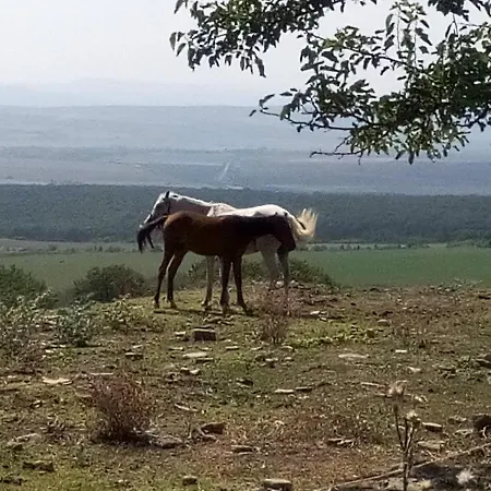 Srb Sadovo-resort-bulgaria (adults Only) Ferienhaus Sadovo (Avren)